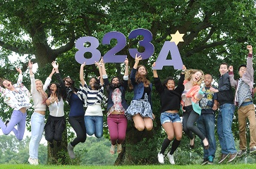 WEB 823 A stars at GCSE
