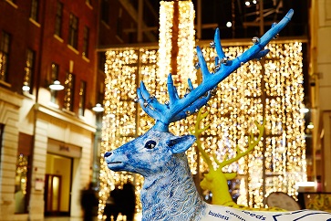 WEB Leeds_Reindeer2014 62